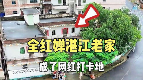 全红婵老家盖小洋楼 目测两百平